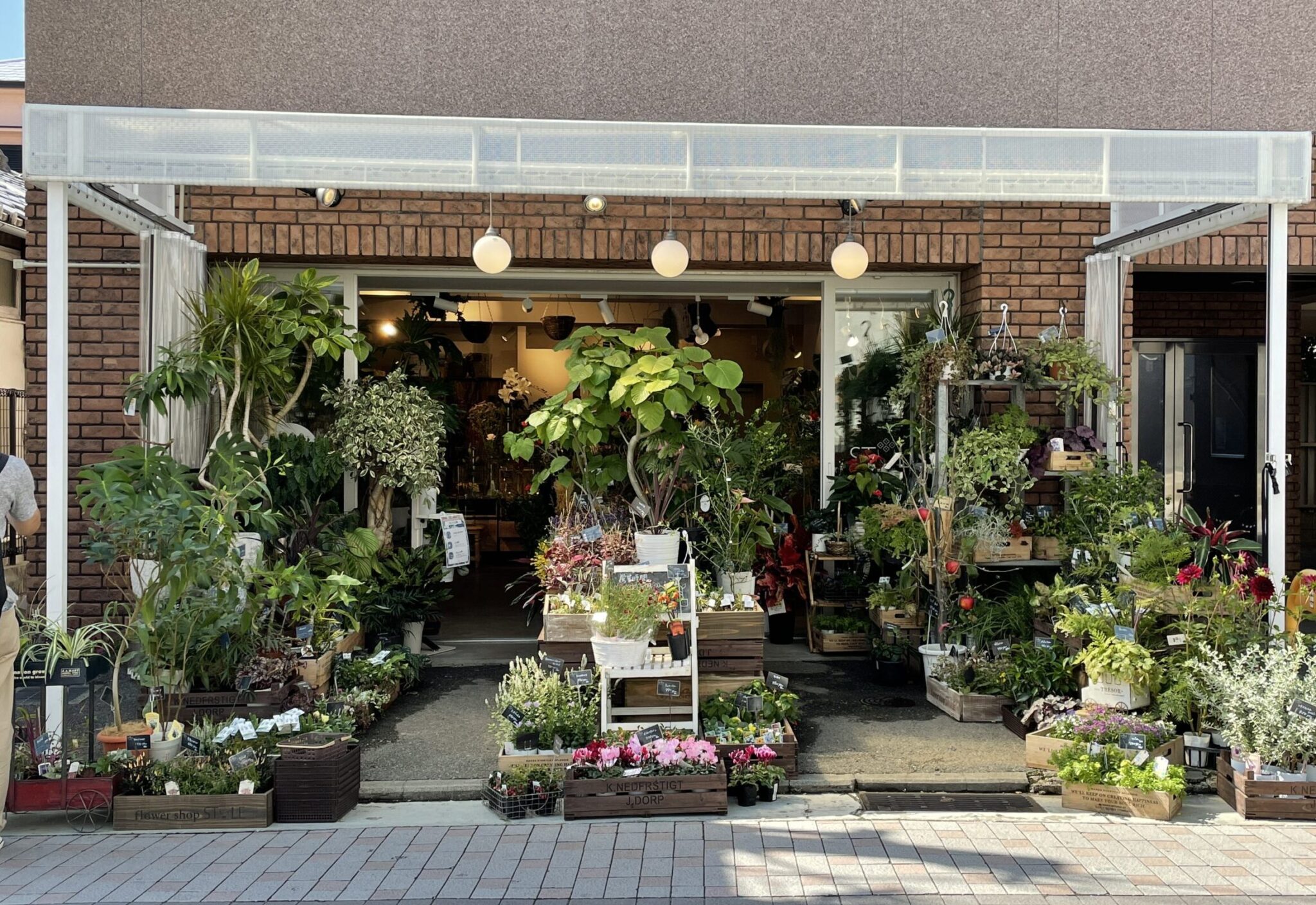 【flower shop Style(フラワーショップ スタイル)】品揃えにわくわくする花屋さん｜垂水区陸ノ町 | たるみドア